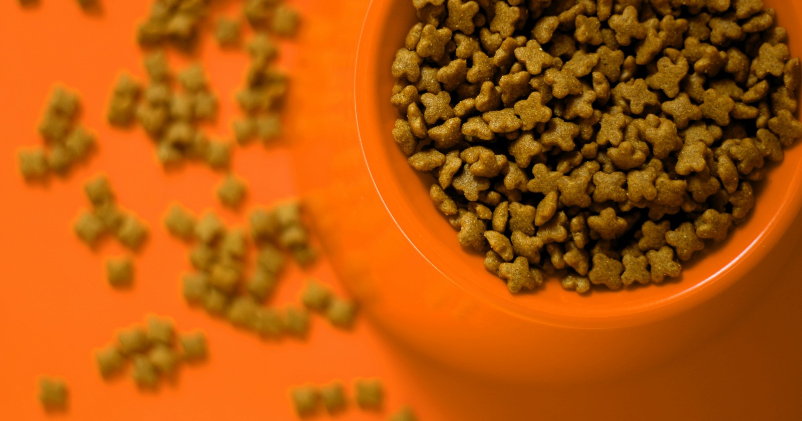 understanding-aafco-s-new-model-pet-food-regulations-davis-wright